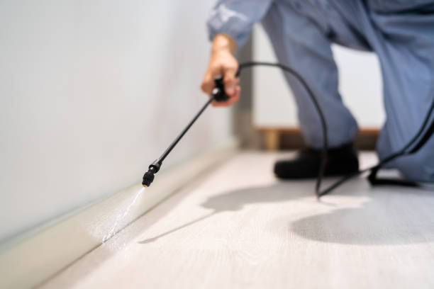 Licensed Pest Control service in Britton, SD - Show Me Pest Control