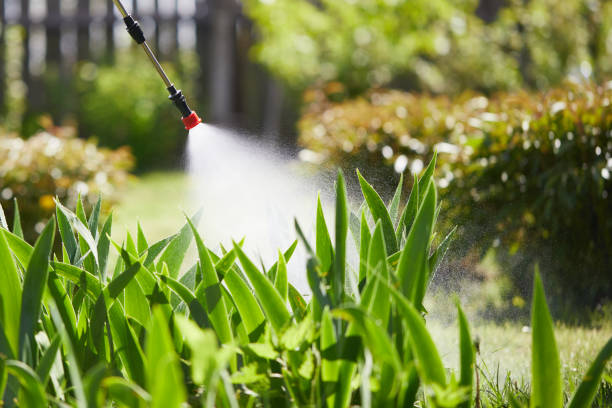 Tamper-Resistant Bait Stations for Rodents in Britton