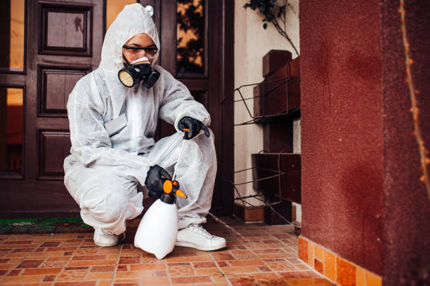Attic and Crawl Space Rodent Treatment in Britton